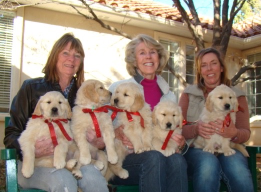 Yellow, Pink, Blue, Green, Red.jpg