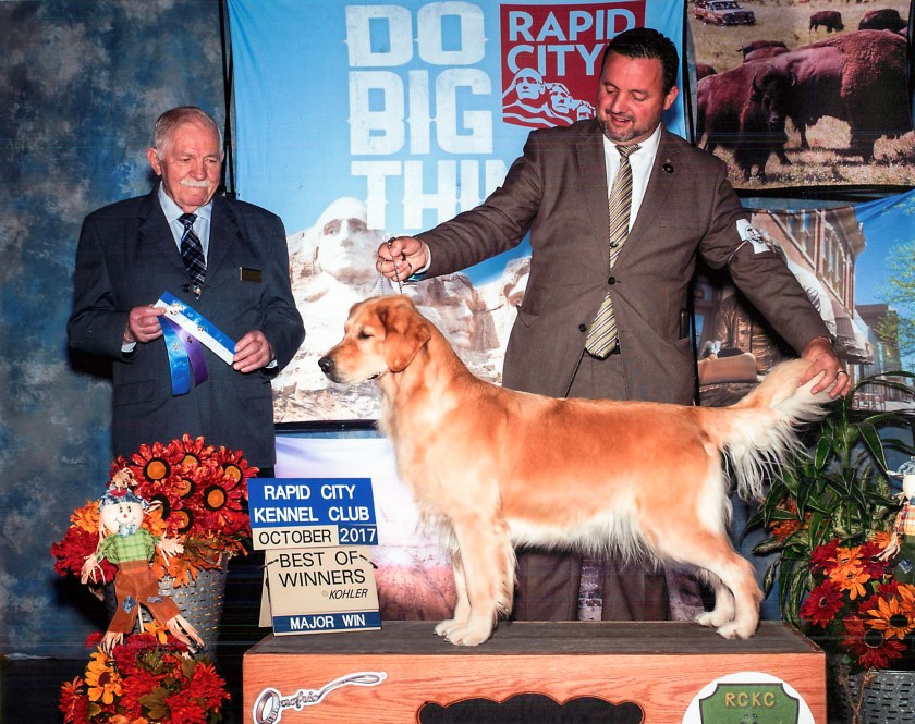 Deja_Major Win_Page_1.jpg