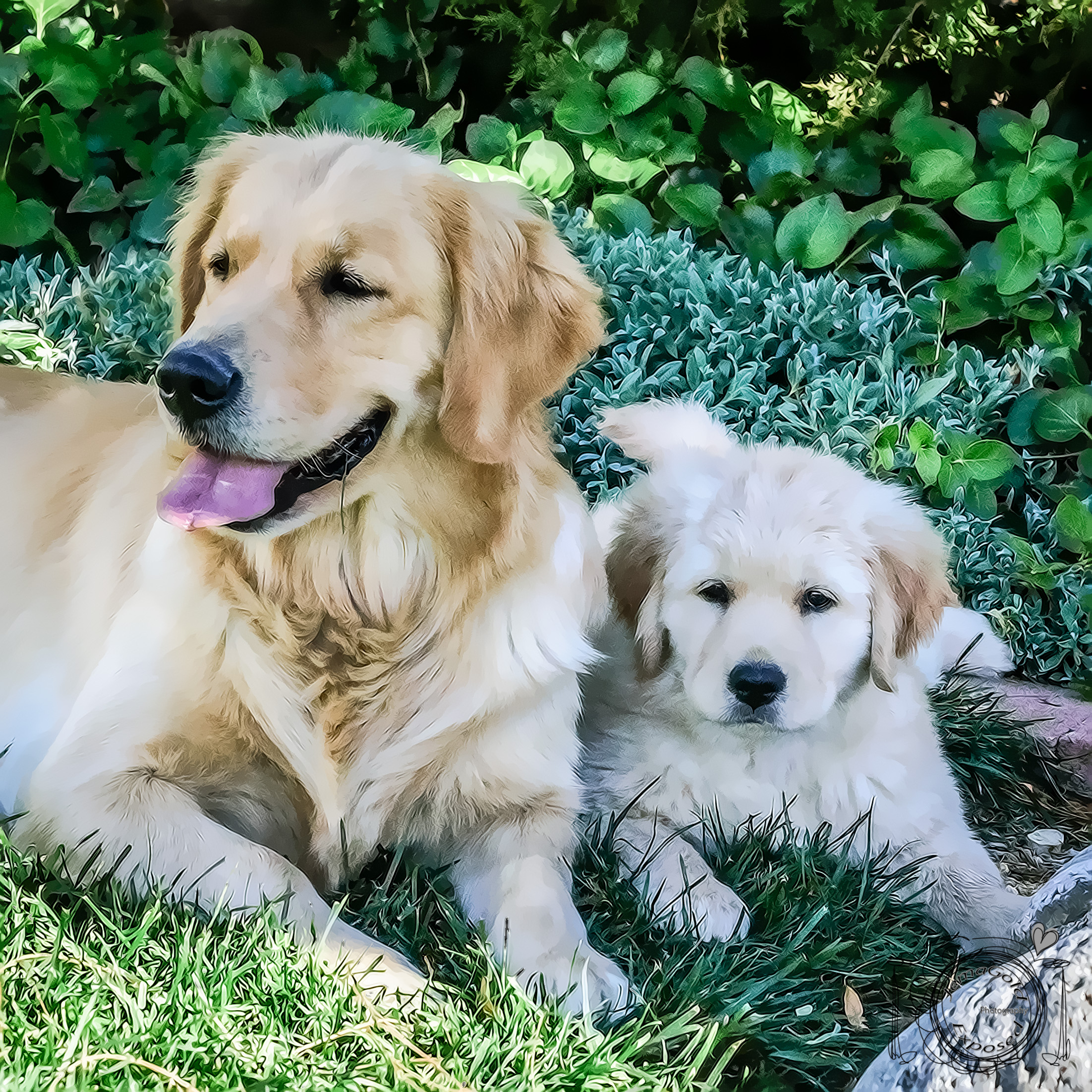 20161031-DSC_2977-Edit