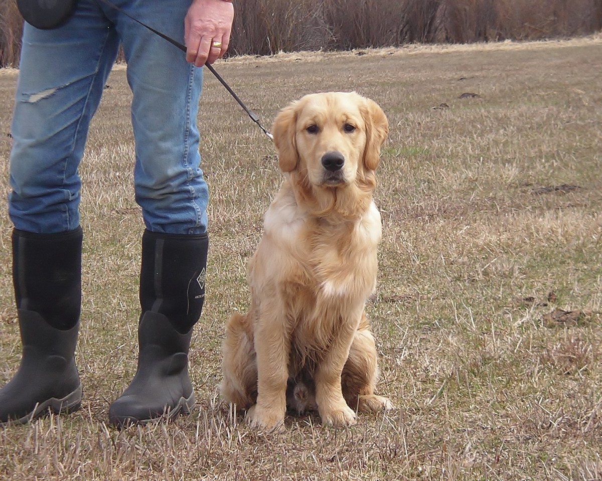 Happy 6 month&nbsp;Birthday!