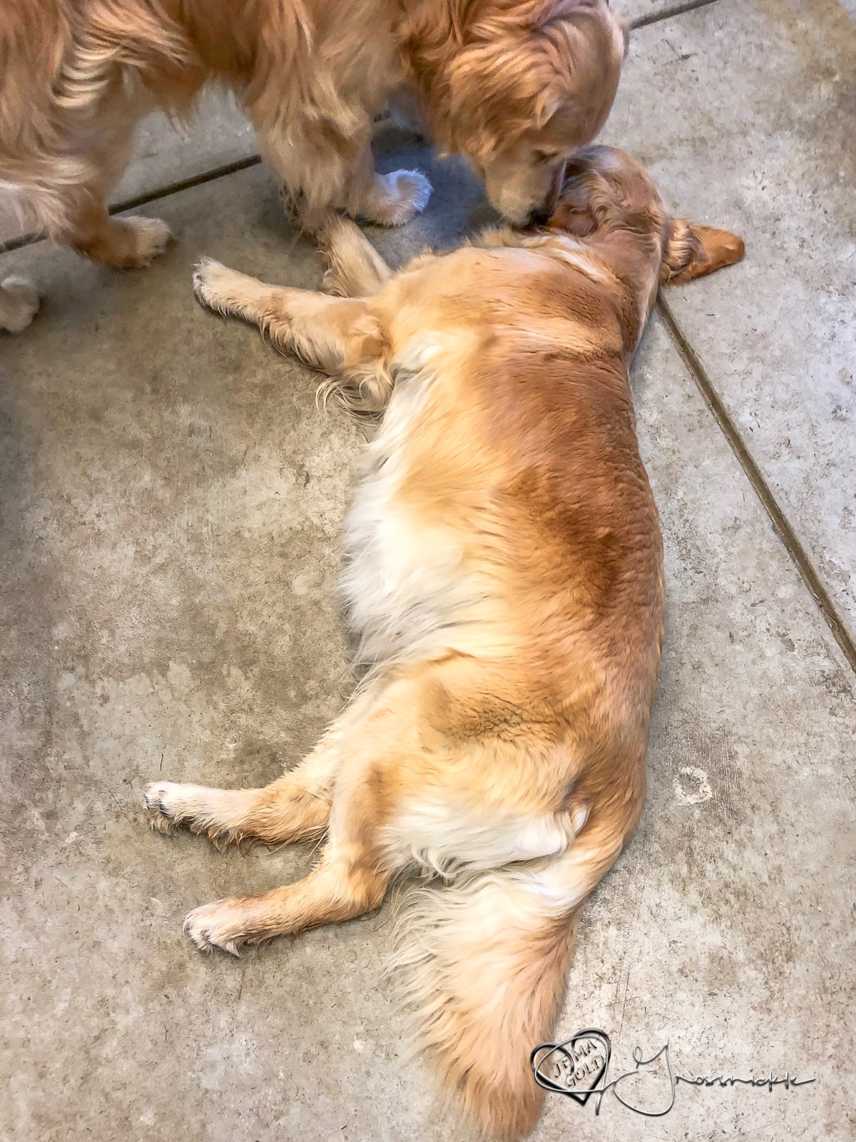 12 Days and the Countdown&nbsp;Begins!