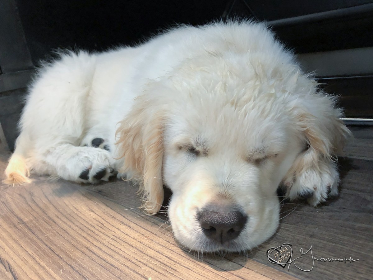 It’s The Little&nbsp;Things