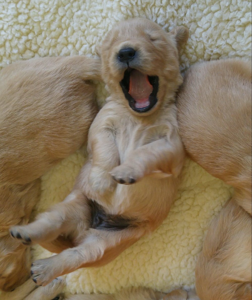 Happy Two Weeks&nbsp;Old!