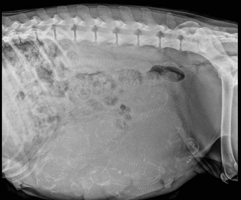 Screen Shot 2019-06-27 at 6.07.47 PM.jpg