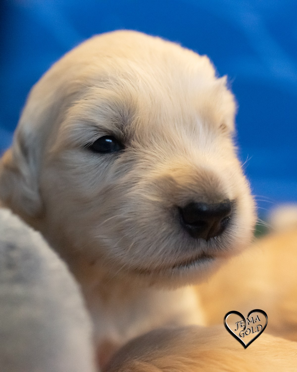 Almost Three Weeks&nbsp;Old…