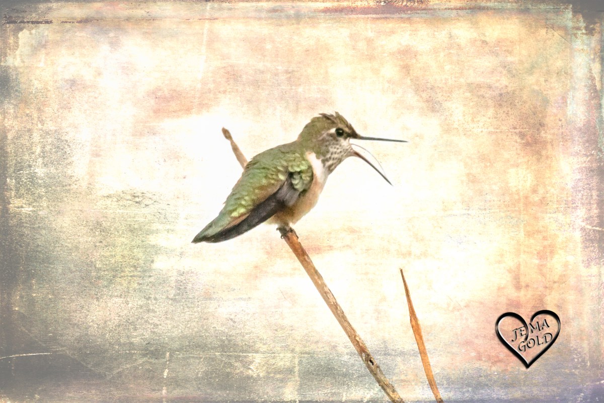 Juggling… And BEES!