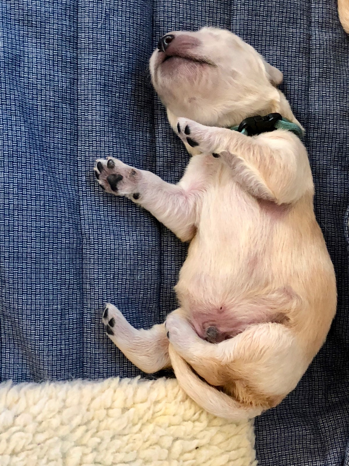 Registered Name Ideas?