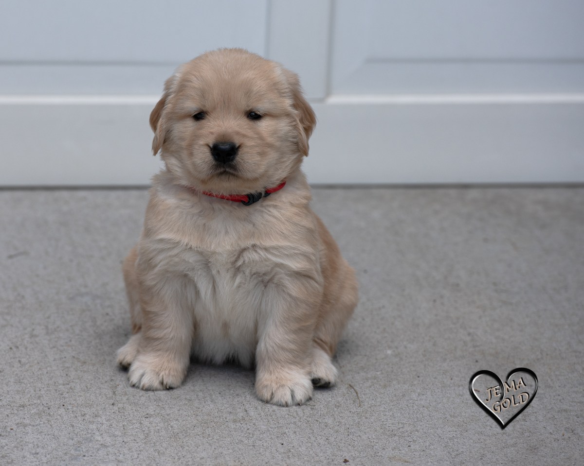 5 Weeks Old&nbsp;Today