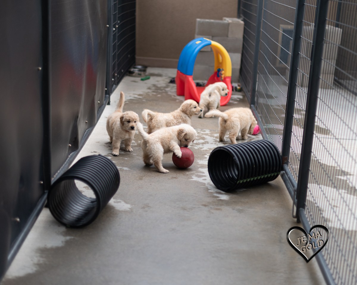 Happy 7 Weeks&nbsp;Old