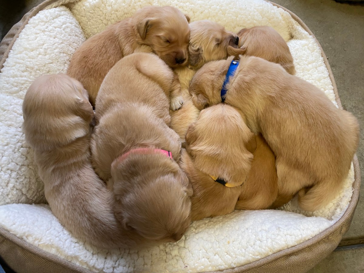 Happy Mother’s Day!